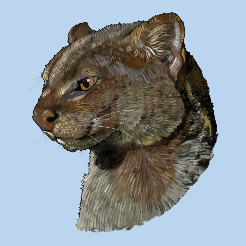 Jaguarundi Head Classic Tee by LillyAllenDesigns | Teevron