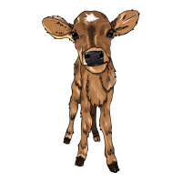 Baby cow | Teevron