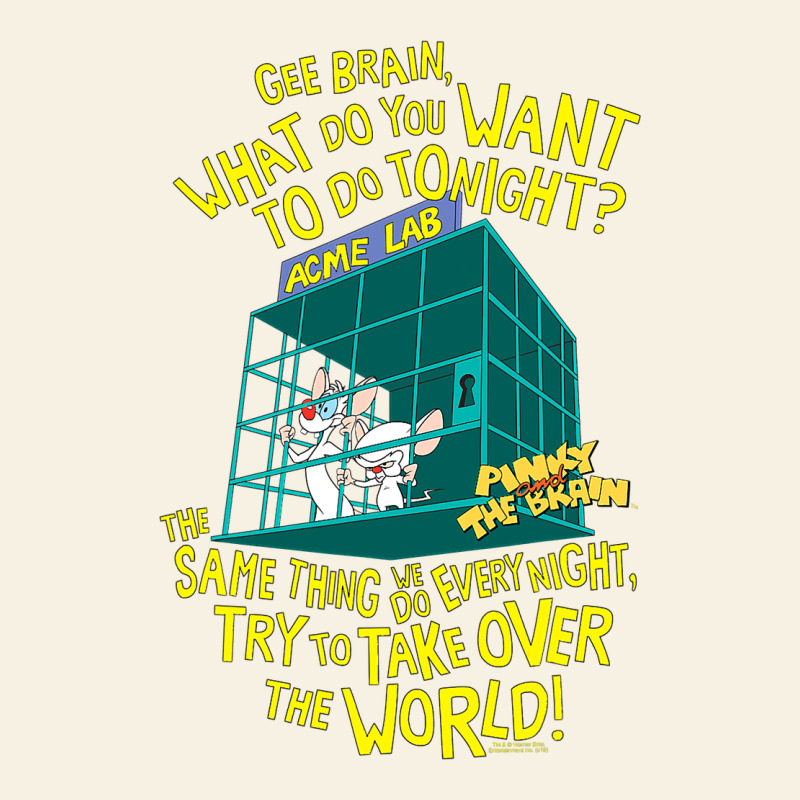 Pinky And The Brain The World Vintage Tee by maiPhamDesign | Teevron