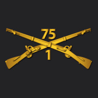 1st Bn 75th Infantry Regiment Ranger Branch Wo Txt Vintage Tee | Teevron