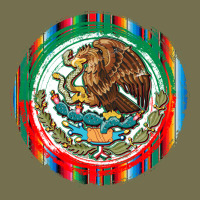 Mexico Coat Of Arms Vintage Hoodie | Teevron