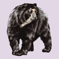 Spectacled Bear Classic Tee | Teevron