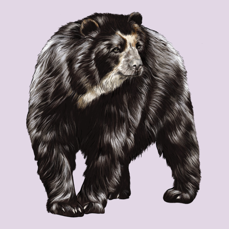Spectacled Bear Classic Tee by LillyAllenDesigns | Teevron