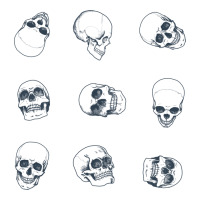 Skulls | Teevron