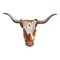 longhorn cow head | Teevron