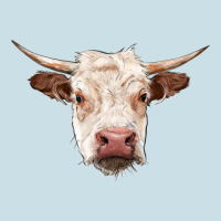 Hereford Cow Head Ladies Tee | Teevron