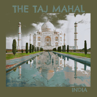India Agra Taj Mahal Mausoleum Travel Tourist Vintage Tee | Teevron