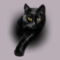 Black Cat Yellow Eyescats Tee Shirt Gifts Vintage Tee | Teevron
