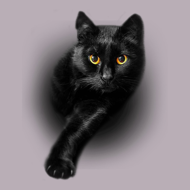 Black Cat Yellow Eyescats Tee Shirt Gifts Vintage Tee by trangStudio | Teevron