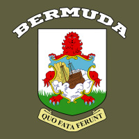 Bermuda Coat Of Arms Souvenir Gift Flag Bermudian Vintage Tee | Teevron