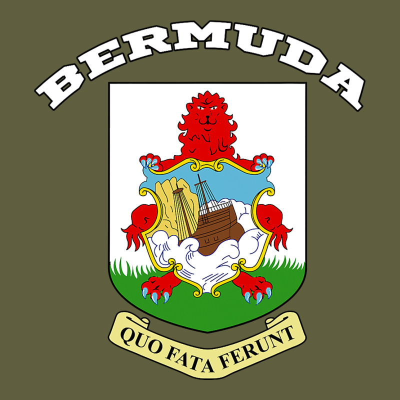Bermuda Coat Of Arms Souvenir Gift Flag Bermudian Vintage Tee by trangStudio | Teevron