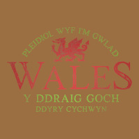 Rugby Welsh Gift Red Dragon Flag Of Wales Vintage Tee | Teevron