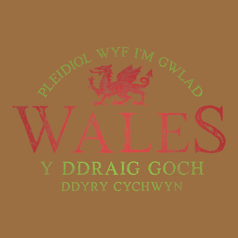Rugby Welsh Gift Red Dragon Flag Of Wales Vintage Tee by trangStudio | Teevron