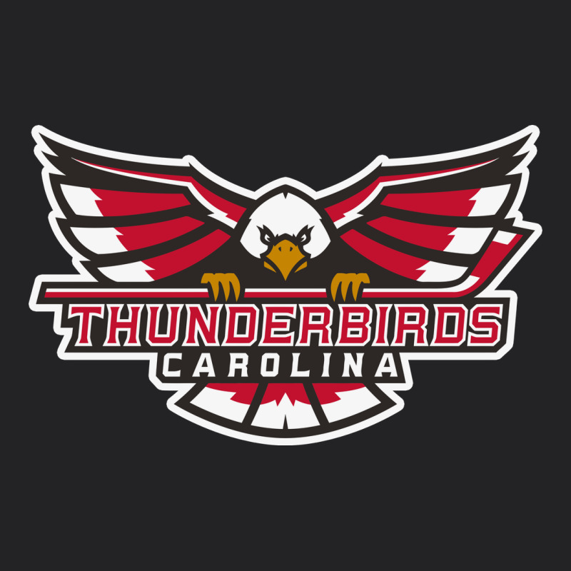 Carolina Thunderbirds Vintage Tee by minhPixels | Teevron