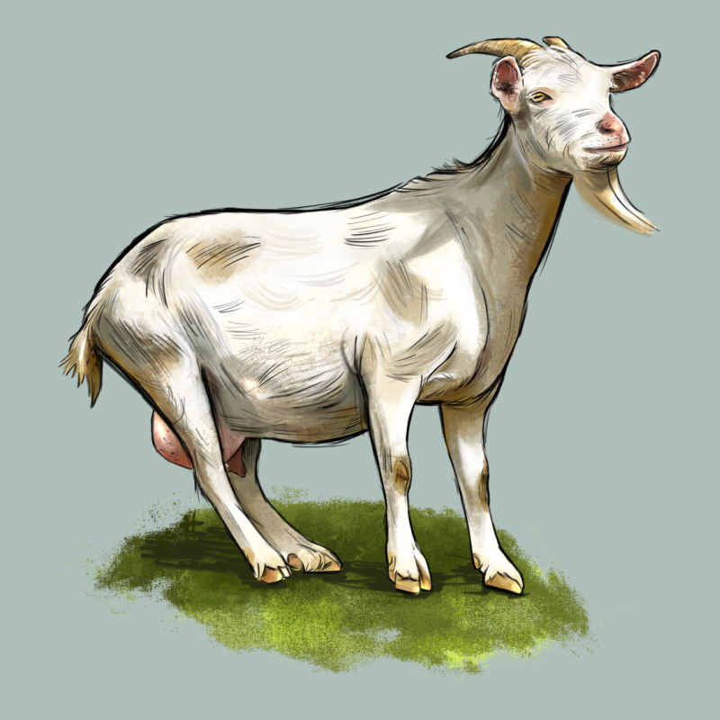 Cashmere Goat Heavyweight Hoodie by LillyAllenDesigns | Teevron