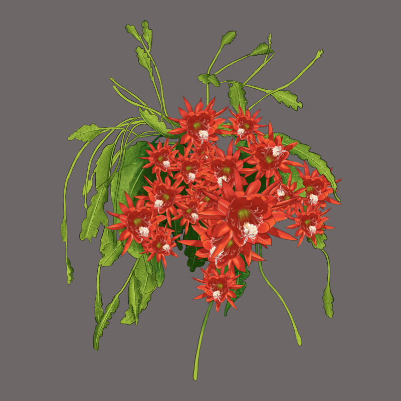 Red Orchid Cactus Classic Tee by LillyAllenDesigns | Teevron