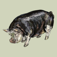 Poland China Pig Heavyweight Hoodie | Teevron
