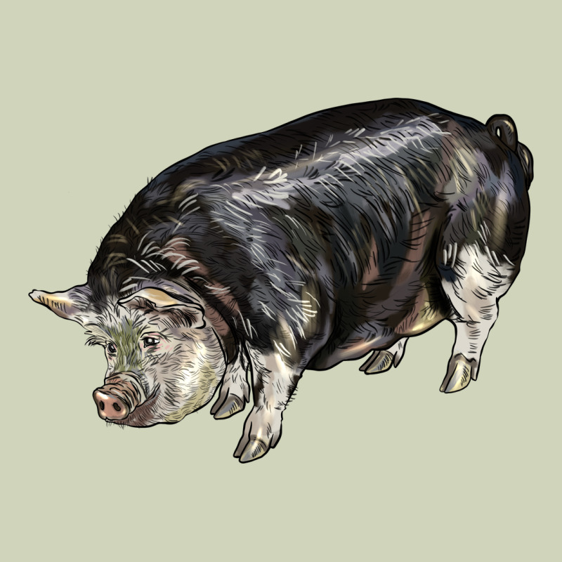 Poland China Pig Heavyweight Hoodie by LillyAllenDesigns | Teevron
