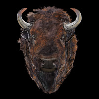 American Bison Ladies Tee | Teevron