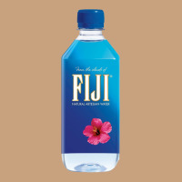 Aesthetic Fiji Water Vintage Tee | Teevron