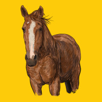 Brown Horse Premium Hoodie | Teevron