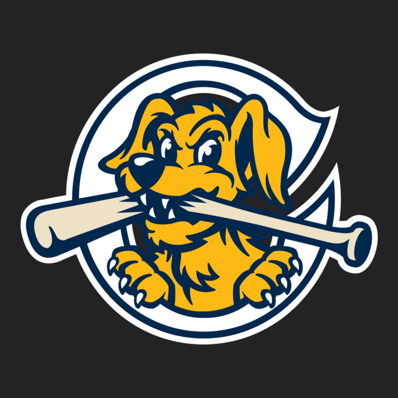 The Charleston Riverdogs Vintage Tee by lanVoArt | Teevron