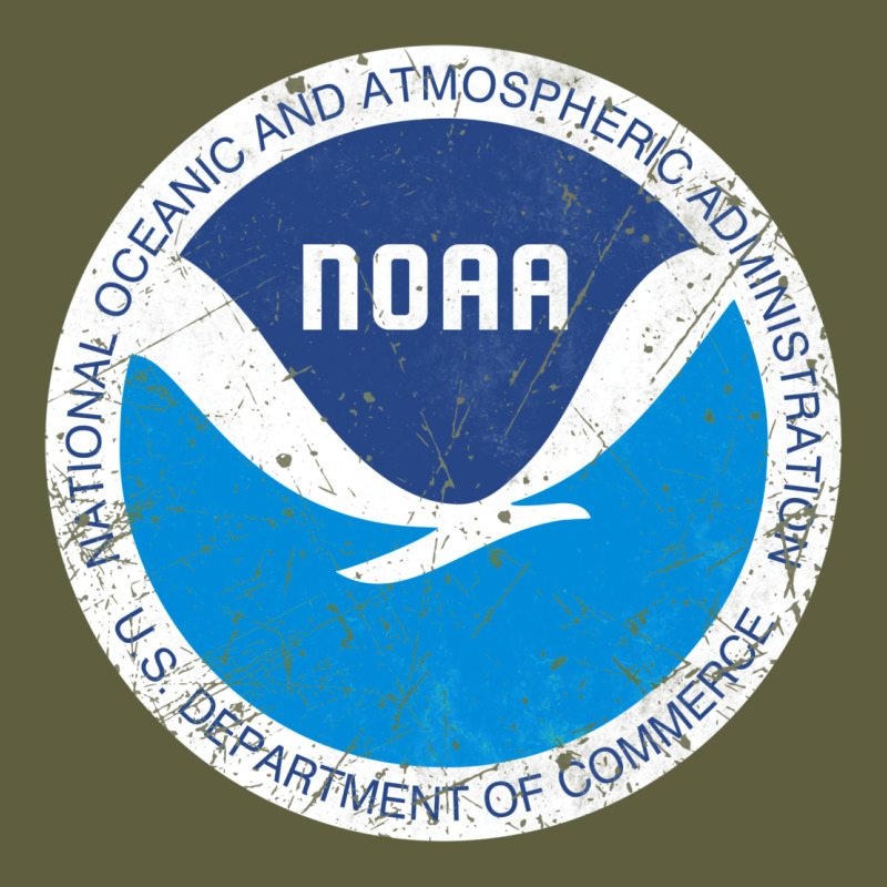 Noaa Vintage Design Vintage Tee by tuanDangUi | Teevron