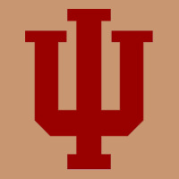 Indiana Hoosiers Heavyweight Hoodie | Teevron