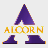 Alcorn Urban Hoodie | Teevron