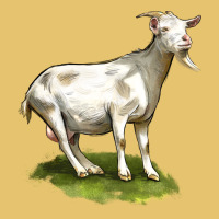 Cashmere Goat Premium Sweatshirt | Teevron