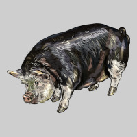 Poland China Pig Premium Sweatshirt | Teevron
