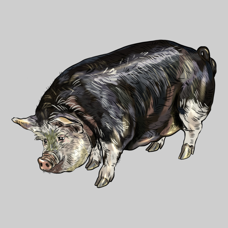 Poland China Pig Premium Sweatshirt by LillyAllenDesigns | Teevron