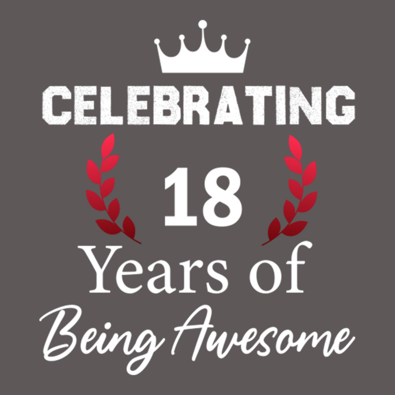 18 Years Of Being Awesome, 18 Year Old Birthday Gi Premium Hoodie by tuanDangUi | Teevron