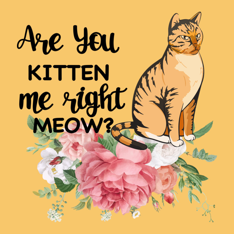 Are You Kitten Me Right Meow Vintage Hoodie by Bettercallsaul | Teevron