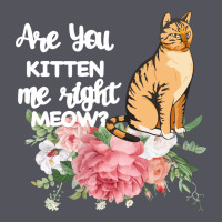 Cat Maine Coon Gift Kidding Kitten Meow Pussycat Vintage Hoodie | Teevron
