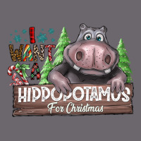 I Want A Hippopotamus For Christmas Premium Sweatshirt | Teevron