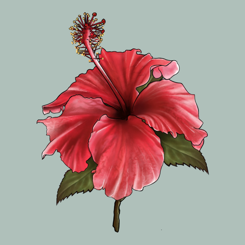 Puerto Rican Hibiscus Flower Illustrations Heavyweight Hoodie by LillyAllenDesigns | Teevron