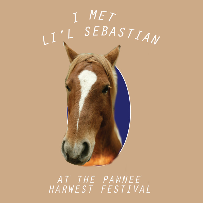 I Met Lil Sebastian Vintage Hoodie by Bettercallsaul | Teevron