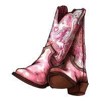 Cowgirl boots | Teevron