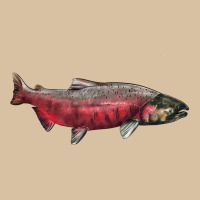 Chinook Salmon Fish Illustrations Heavyweight Hoodie | Teevron