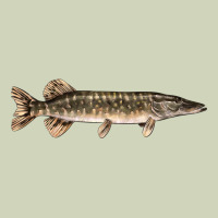 Northern Pike Fish Illustrations Heavyweight Hoodie | Teevron