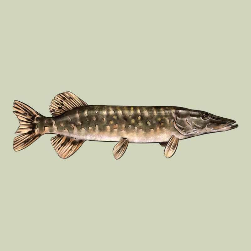 Northern Pike Fish Illustrations Heavyweight Hoodie by LillyAllenDesigns | Teevron