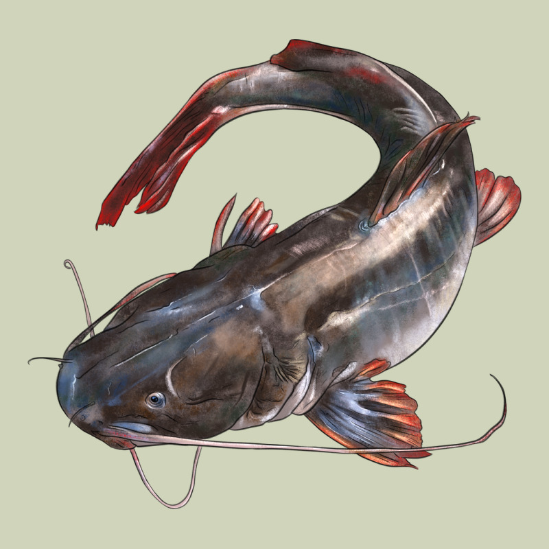 Catfish Illustrations Heavyweight Hoodie by LillyAllenDesigns | Teevron