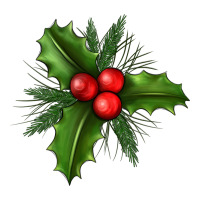 Mistletoe | Teevron