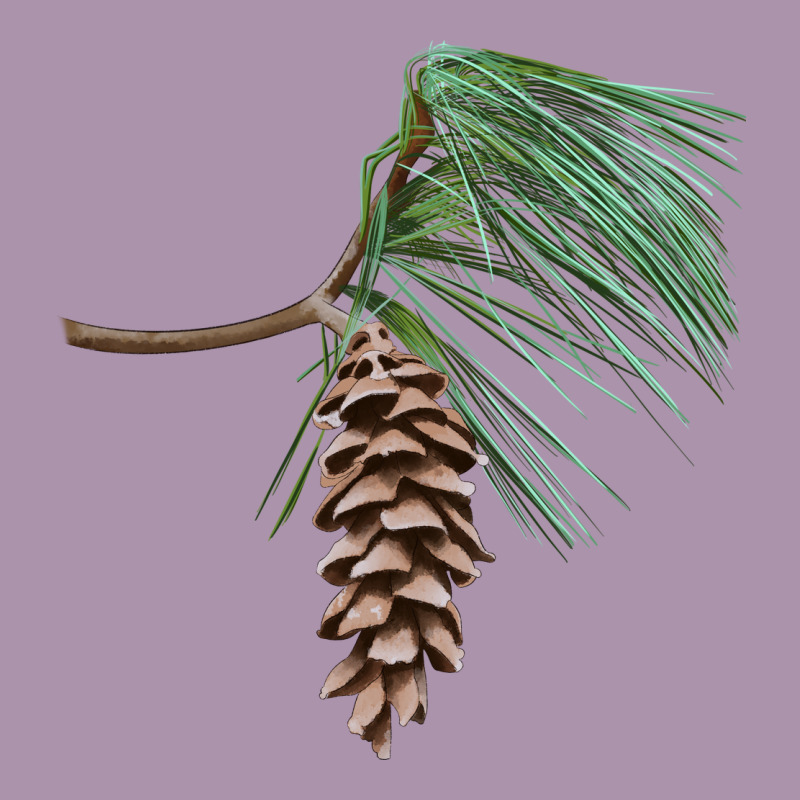 White Pine Cone Heavyweight Hoodie by LillyAllenDesigns | Teevron