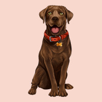 Chocolate Lab Labrador Retriever Urban Hoodie | Teevron