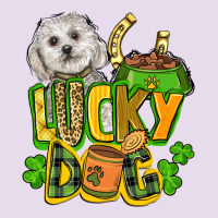 Lucky Dog St. Patrick's Premium Hoodie | Teevron