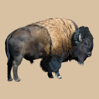 Bison Buffalo Heavyweight Hoodie | Teevron