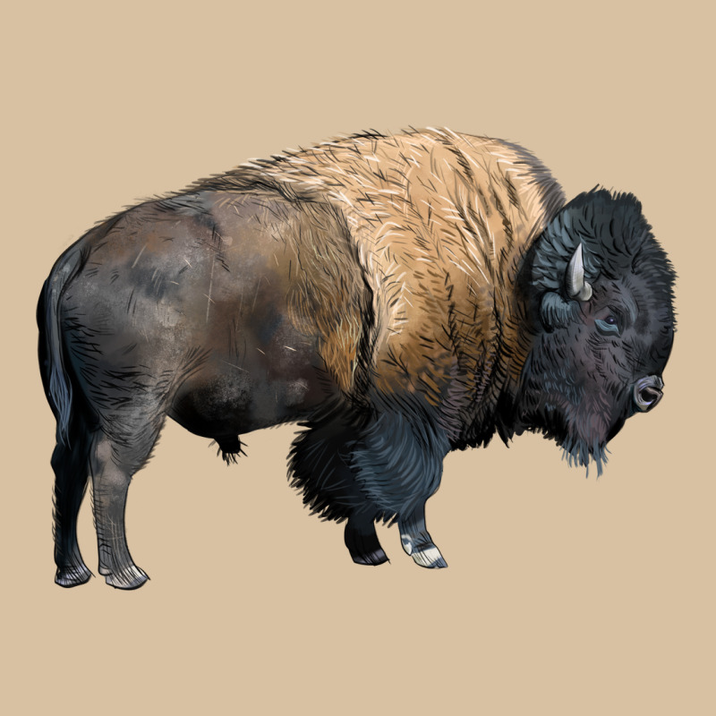 Bison Buffalo Heavyweight Hoodie by LillyAllenDesigns | Teevron