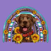 Chocolate Labrador Rainbow Urban Hoodie | Teevron